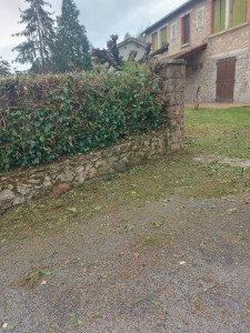 Photo de galerie - Tonte de pelouse - Débroussaillage