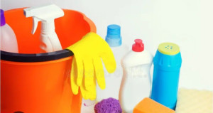 Photo de galerie - Je suis une personne sérieuse, ponctuelle et sociable, dotée d’un bon sens de l’organisation. Ménagère expérimentée, je prends soin d'assurer un environnement propre .

