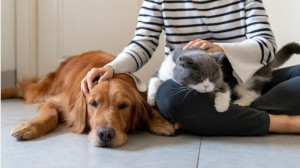 Photo de galerie - Pet sitter : visiter et nourrir vos animaux
