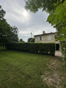 Photo de galerie - Taille laurier 