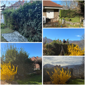 Photo de galerie - Avant/ après 