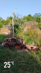 Photo de galerie - Entretien courant.
Quelques notions de jardinage ainsi que de la création de massif, cabane à insectes.