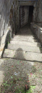 Photo de galerie - Débroussaillage pelouse plus escalier de la basilique de Guingamp 