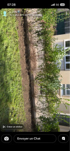 Photo de galerie - Plantation 