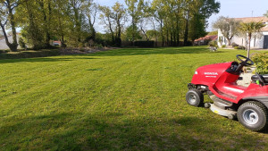 Photo de galerie - Tonte de pelouse 