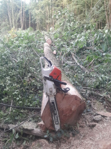 Photo de galerie - Coupe de bois de chauffage