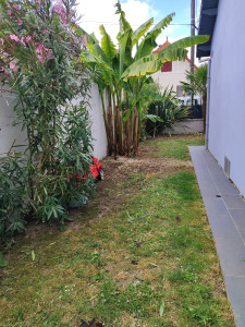 Photo de galerie - Contactez moi pour tout ce qui touche aux espaces verts . plus enlèvement de gravats 
0662709052