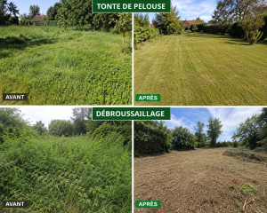 Photo de galerie - Terrain debrousailler 
terrain tondu 