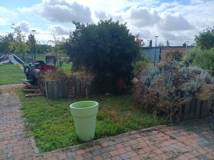 Photo de galerie - Paysagiste - Aménagement du jardin