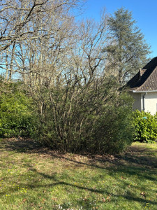 Photo de galerie - Jardinier