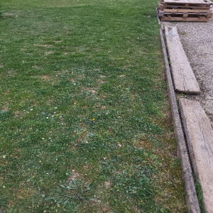 Photo de galerie - Chantier courson les carrières ( 89 )