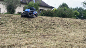 Photo de galerie - Remise en état d’un grand jardin non entretenu depuis 2 ans 