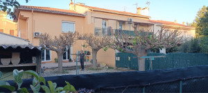 Photo de galerie - Elagage et coupe d'arbres