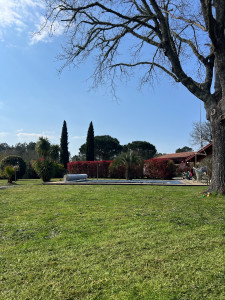 Photo de galerie - Tonte