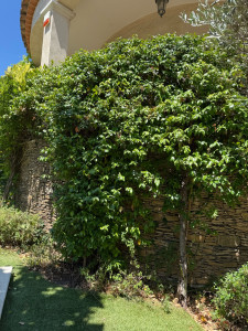 Photo de galerie - Jardinier