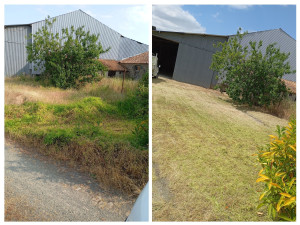 Photo de galerie - Tonte de pelouse - Débroussaillage