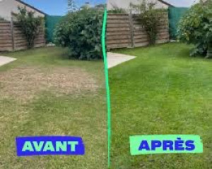 Photo de galerie - Tonte engazonnements 