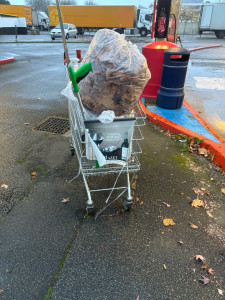 Photo de galerie - Débroussaille 