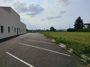 Photo de galerie - Avant tonte et débroussaillage