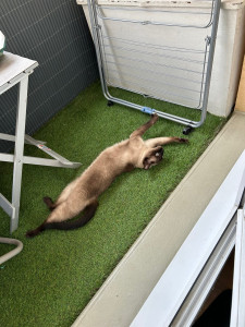 Photo de galerie - De la gym ! 