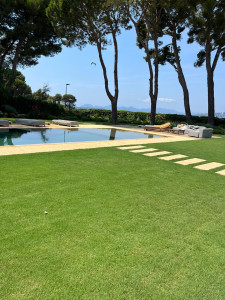 Photo de galerie - Gazon en plaques 