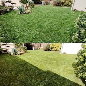 Photo de galerie - . 