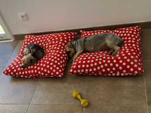 Photo de galerie - Les filles au repos 