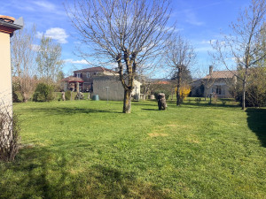 Photo de galerie - Tonte