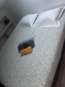 Photo de galerie - Ménage