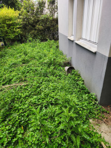 Photo de galerie - Jardinage