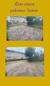 Photo de galerie - Entretien pelouse/haie