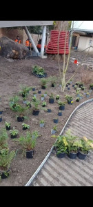Photo de galerie - Paysagiste - Aménagement du jardin