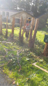 Photo de galerie - Débroussaillage