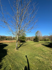 Photo de galerie - Nettoyage jardin 