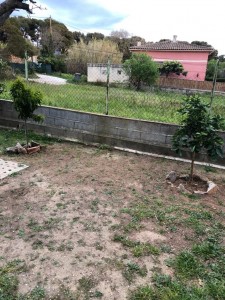 Photo de galerie - Paysagiste - Aménagement du jardin