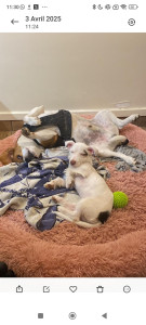 Photo de galerie - Quand c'est l'heure de la sieste mais que le sommeil ne vient pas ?