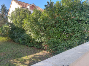 Photo de galerie - Avant