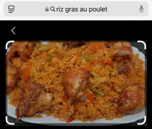 Photo de galerie - Riz au légume poulet 