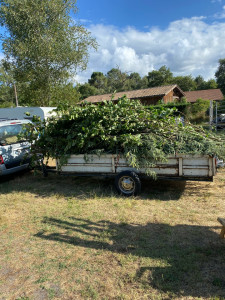 Photo de galerie - Taille et enlèvement de déchets verts 