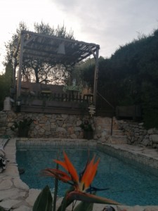Photo de galerie - Entretien piscine et terrasse et jardin 