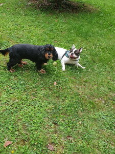 Photo de galerie - Deux habitués 