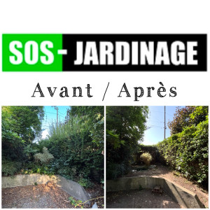 Photo de galerie - Débroussaillage, taille de haies et ramassage des feuilles mortes