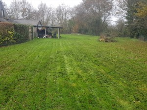 Photo de galerie - Tonte de pelouse - Débroussaillage