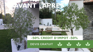 Photo de galerie - Taille d'arbre