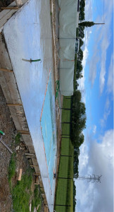 Photo de galerie - Coffrage-coulage béton terrasse autour d’une piscine 
