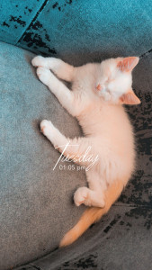 Photo de galerie - Harry ❤️