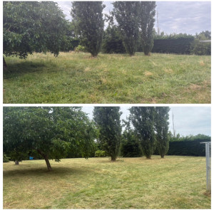 Photo de galerie - Avant-Apres