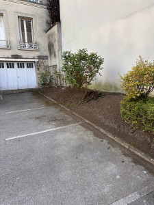 Photo de galerie - Résultats du nettoyage du massif 