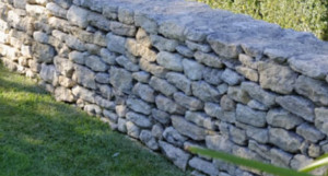 Photo de galerie - Taillage +montage mûre 