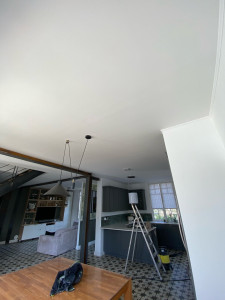 Photo de galerie - Pintur d un plafonds 